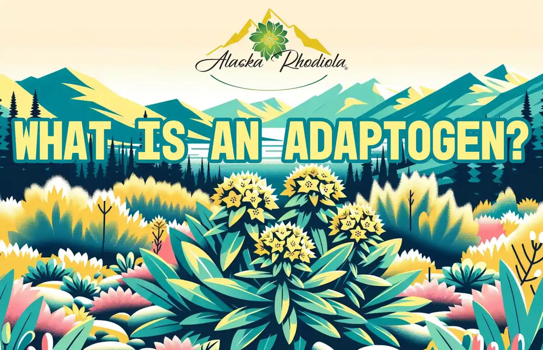 What is an Adaptogen Herb: Exploring the Power of Rhodiola