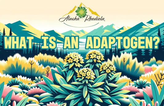 What is an Adaptogen Herb: Exploring the Power of Rhodiola
