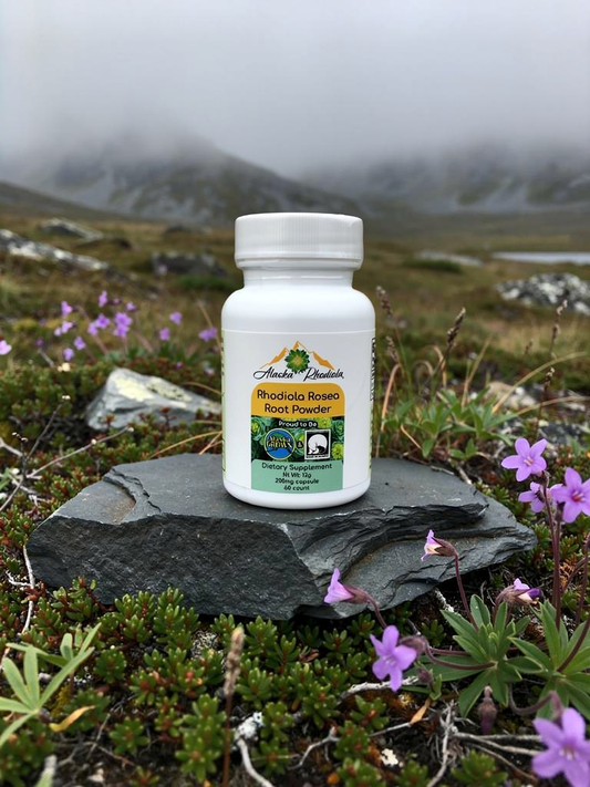 Alaska Rhodiola® Capsules – Rhodiola Rosea Root Powder
