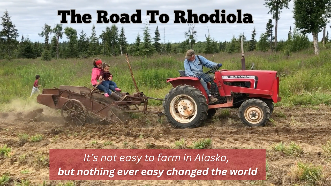 THE ALASKA RHODIOLA DOCUMENTARY